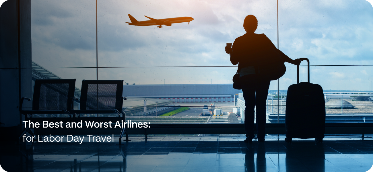 Header image showing passenger at the airport.